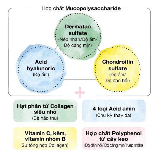 thành phần collagen